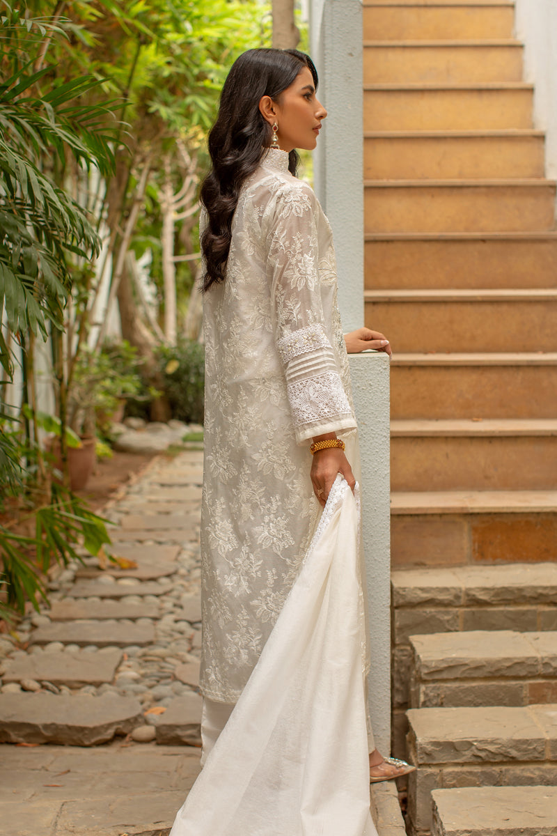 Jasmine